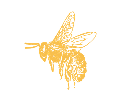 abeille jaune gauche-1.png